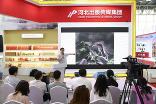 河北出版?zhèn)髅郊瘓F 北京圖博會上的文化亮眼風景線